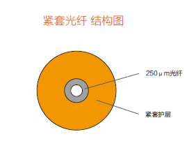 开云(中国)